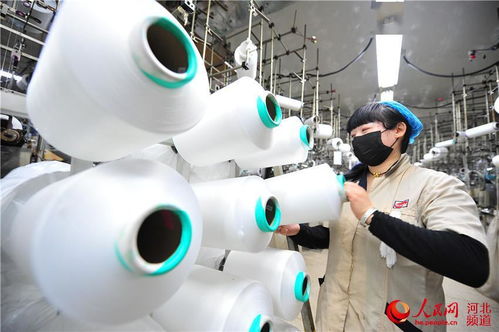 秦皇岛出口加工区一季度进出口业务逆势增长
